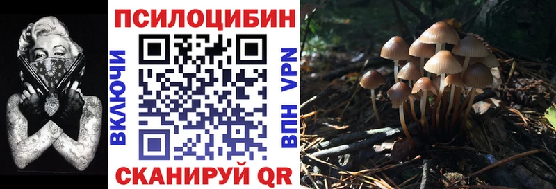 Псилоцибиновые грибы ЛСД  это наркотические препараты  Балахна 
